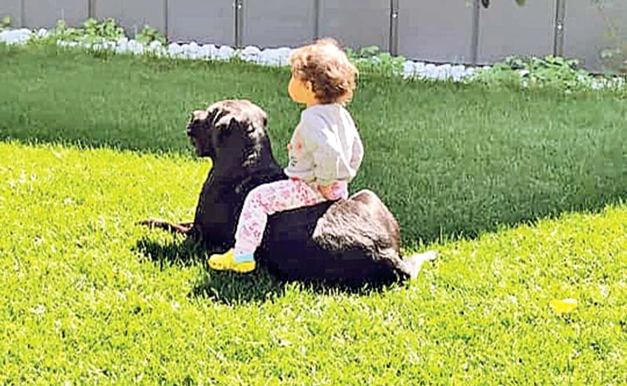 
    Namiko e topită  după ”Ham”  