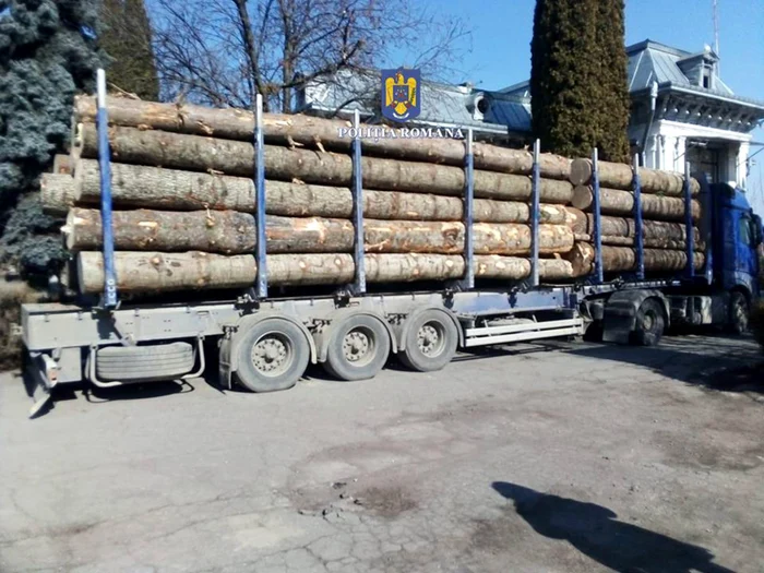 Lemnul fără acte duce automat şi la confiscarea autovehiculului FOTO Poliţia Română