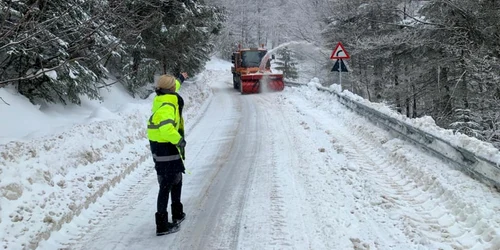 transbucegi foto realitatea de dâmboviţa