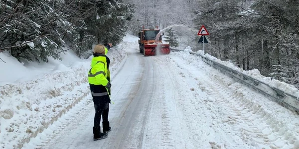 transbucegi foto realitatea de dâmboviţa