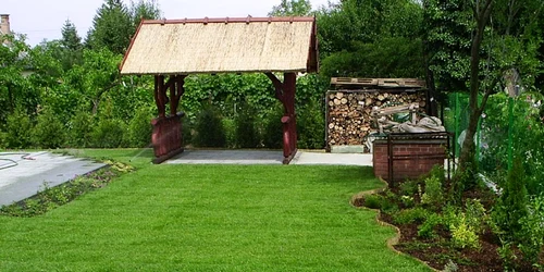 Tipuri de gazon pentru curte FOTO ideidesign.ro
