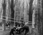 Echipa Corvinul Hunedoara în anii 80  Fotografii de Aurel Herlea (19) jpg