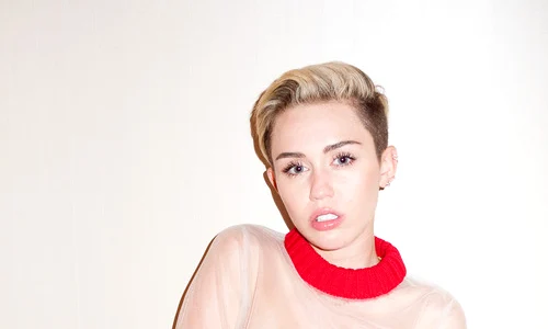 MIley (Foto: terrysdiary com) jpeg