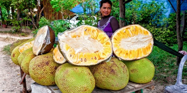 jackfruit