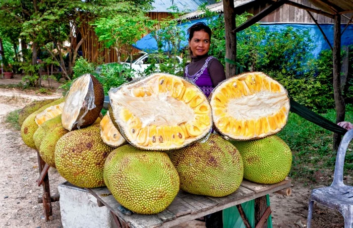 Jackfruit, cel mai mare fruct care creşte într-un arbore, FOTO arhivă