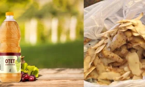 coji de cartofi si otet jpg