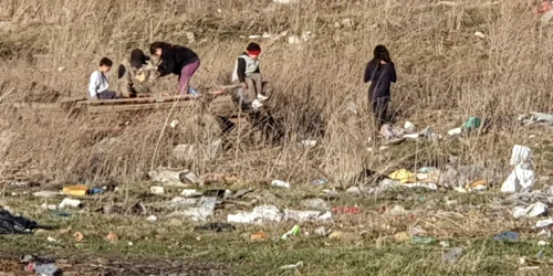 groapa de gunoi şcheia