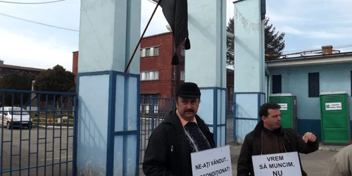 mechlel campia turzii