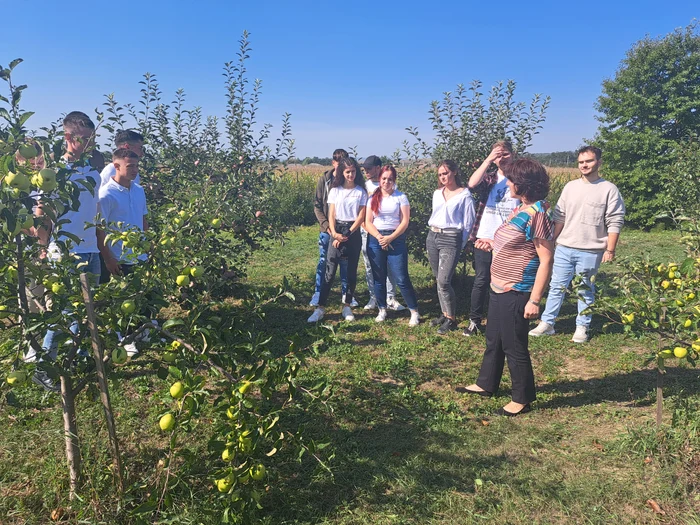 Marina Anicăi predă elevilor în livadă FOTO Cosmin Zamfirache