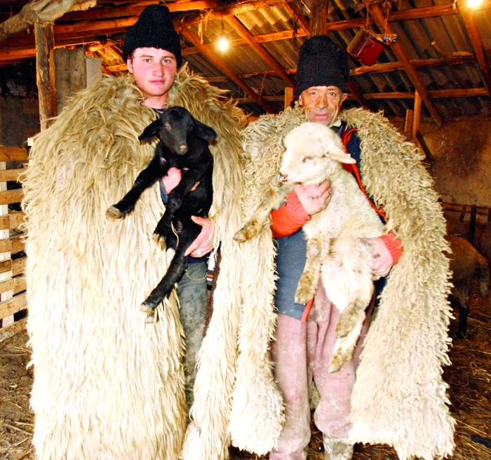 Florin Slabu şi Constantin Doroftei spun că mieii de anul acesta sunt mai mici decât cei de anul trecut