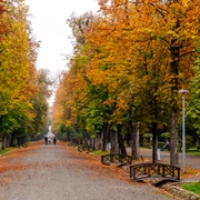 parcul central cluj toamna foto primaria cluj jpg