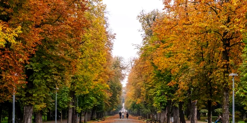 parcul central cluj toamna foto primaria cluj jpg