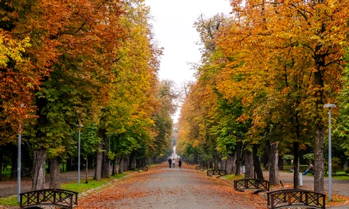 parcul central cluj toamna foto primaria cluj jpg