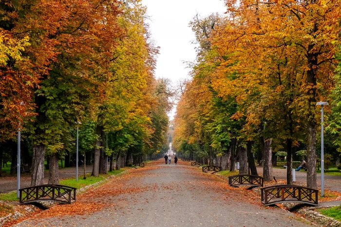 Vremea va continua să fie frumoasă FOTO: Facebook/Primăria Cluj Napoca