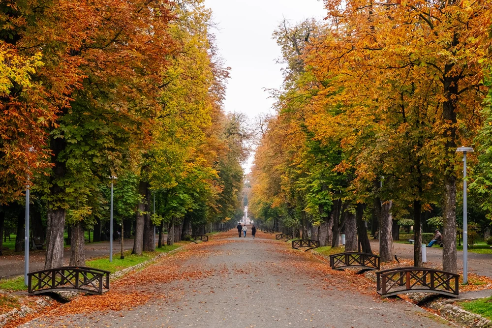 Vreme de toamnă până la Crăciun. Unde ar putea ninge de Anul Nou