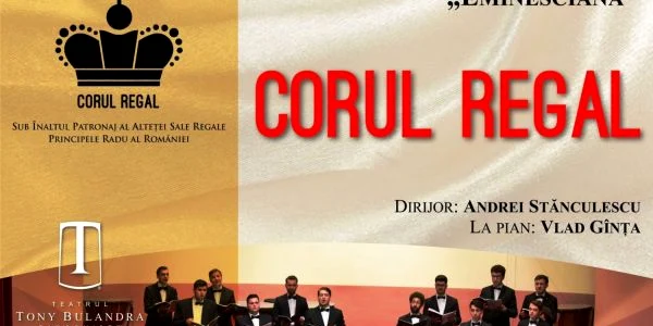concert teatrul tony bulandra