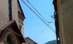 „Cioran aparţine unui trecut prea afectiv ca să nu atragă polemişti“ jpeg