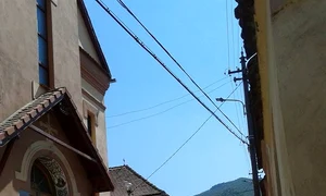 „Cioran aparţine unui trecut prea afectiv ca să nu atragă polemişti“ jpeg