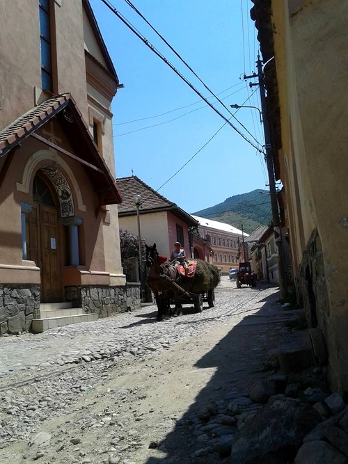 „Cioran aparţine unui trecut prea afectiv ca să nu atragă polemişti“  jpeg