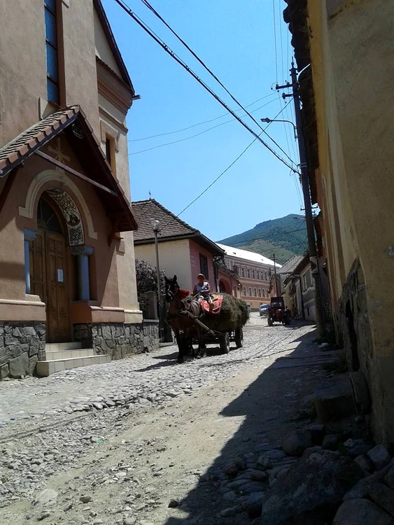 „Cioran aparţine unui trecut prea afectiv ca să nu atragă polemişti“ jpeg