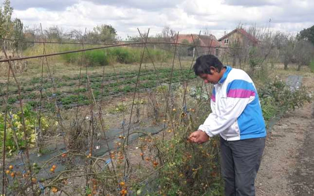 Atelierul în care se face brânza artizanală de Sârbova FOTO Ş.Both