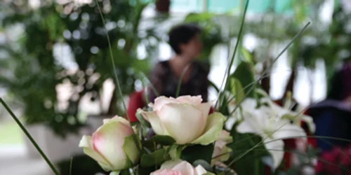 Timişorenii ocupaţi cumpără flori online