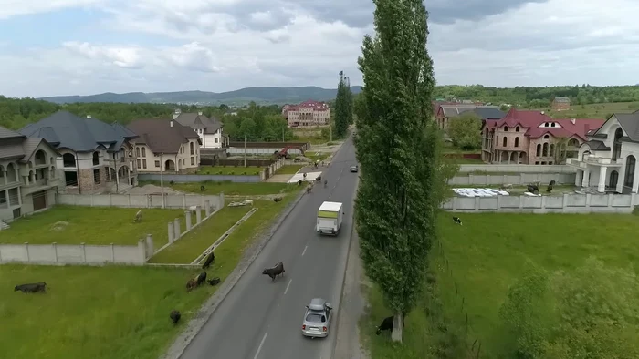 Nyzhnia Apsha, considerat „cel mai bogat sat din Ucraina” / foto: captură video