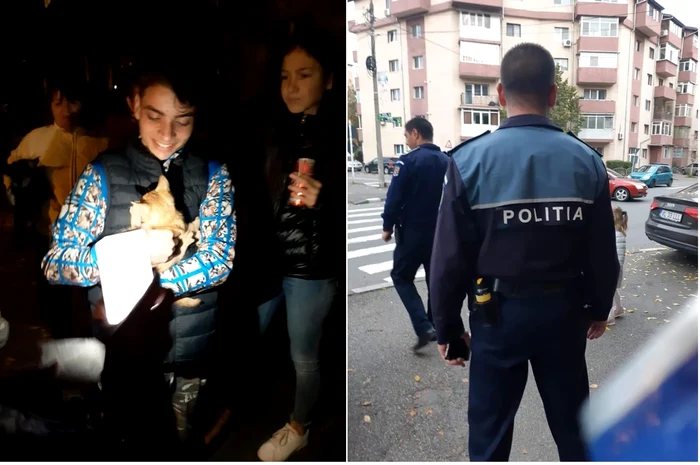 Motănelul captiv timp de patru zile sub capota unei maşini, salvat cu ajutorul poliţiştilor Foto colaj