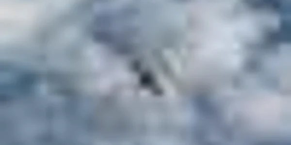 Piloţii experimentaţi au executat zboruri în carusel, picaje şi lupinguri