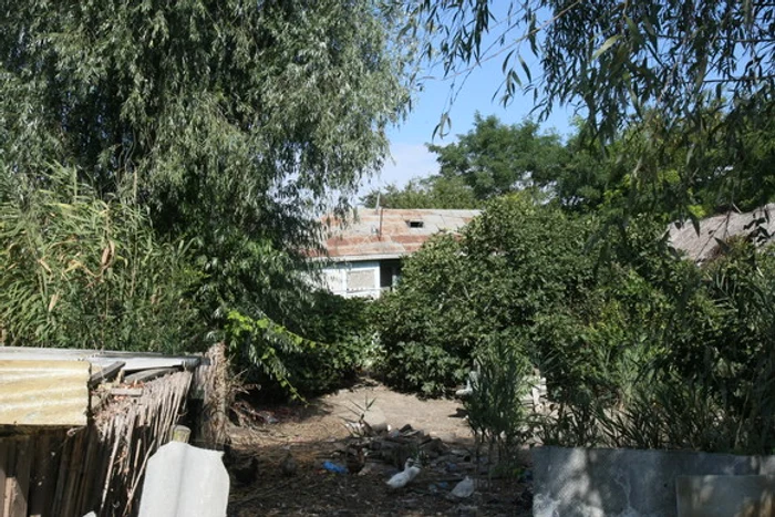 
    Casa părintească  a canoistului   