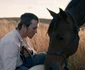 The Rider  jpeg