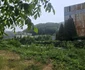 Municipiul Reșița, mai 2026  Foto Daniel Guță ADEVĂRUL (53) jpg