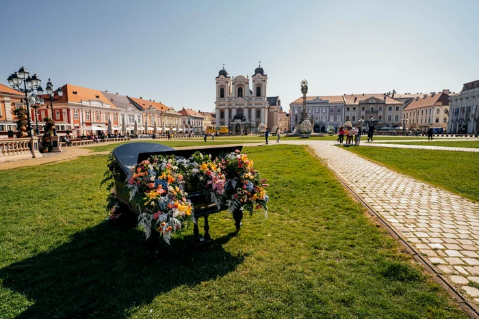 Timișoara, oraș al florilor FOTO PMT