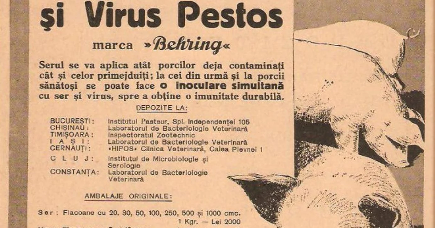 pesta porcina reclama