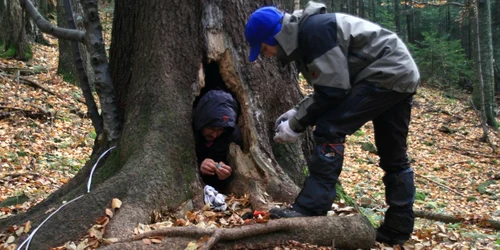 Biologii de la APM au instalat echipamente profesionale în 15 bârloguri. Foto: Life Nature