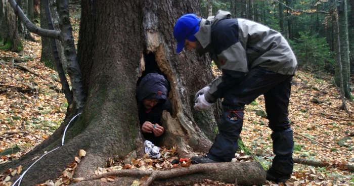 Biologii de la APM au instalat echipamente profesionale în 15 bârloguri. Foto: Life Nature