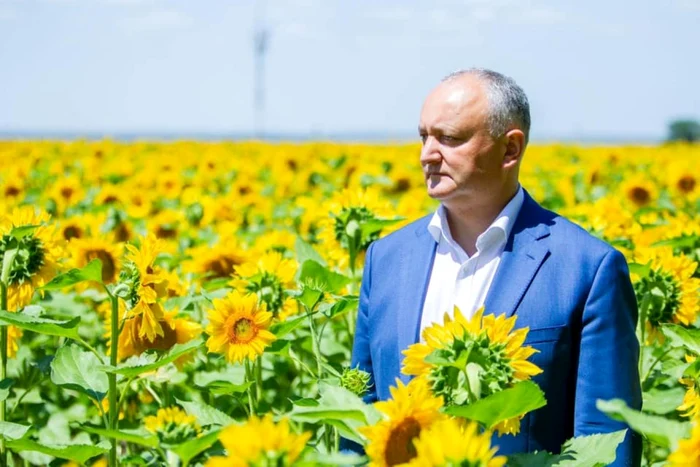 Igor Dodon