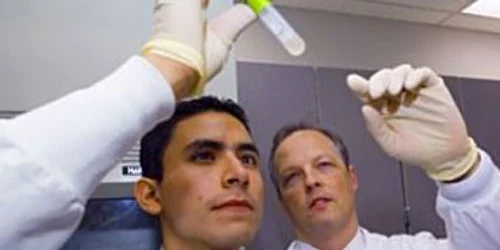 Vaccin experimental anti-SIDA