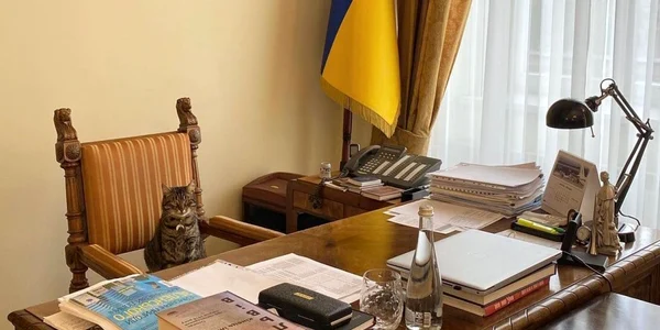Pisica Ucraina fOTO Instagram