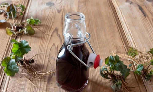 1 sf hildegard plante jpg jpeg