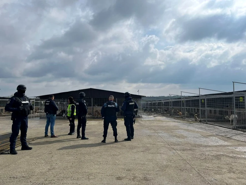 Percheziții într-un adăpost din Suceava. FOTO: ISU Suceava