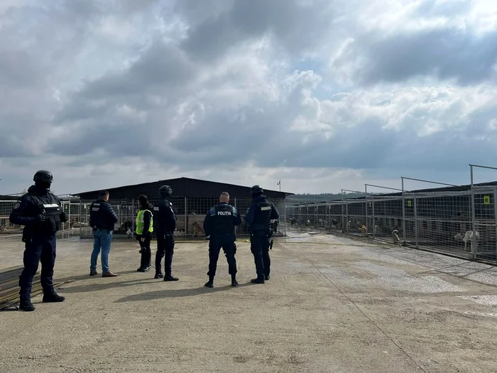 Percheziții într-un adăpost din Suceava. FOTO: ISU Suceava