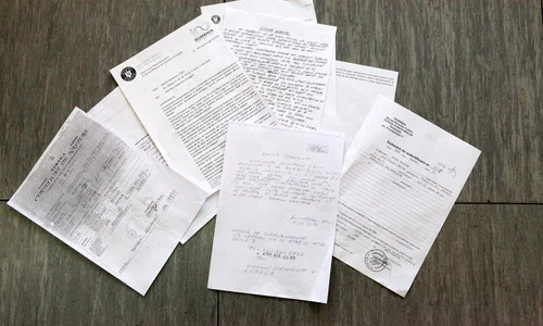 De când a început investigațiile pentru a și cunoaște frații, Elena a strâns o grămadă de acte jpeg