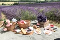 lavanda 3 jpg