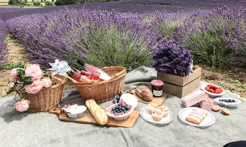 lavanda 3 jpg