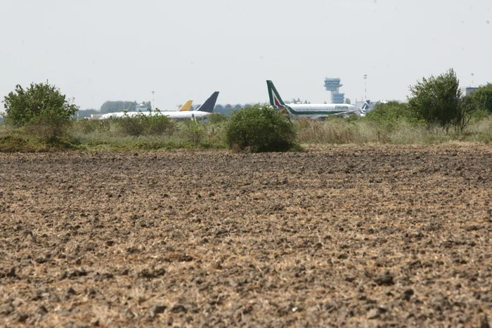 
    În spatele Aeroportului Otopeni sunt terenuri agricoleFoto: Dorin Constanda  