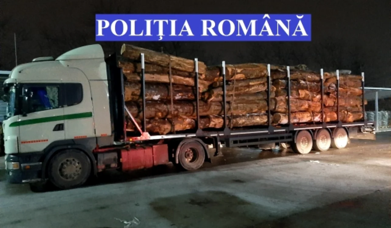 Poliţia a confiscat material lemnos transportat ilegal FOTO Arhivă Poliţia Română