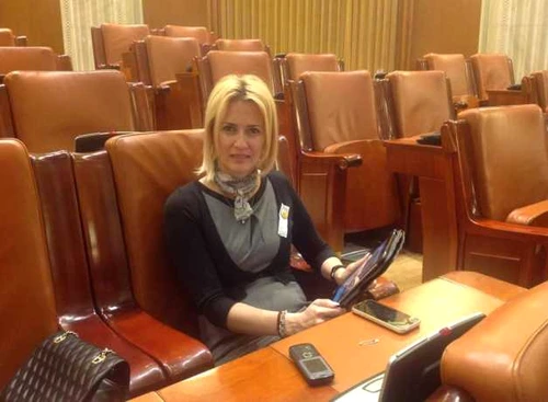 pnl bonuri fiscale