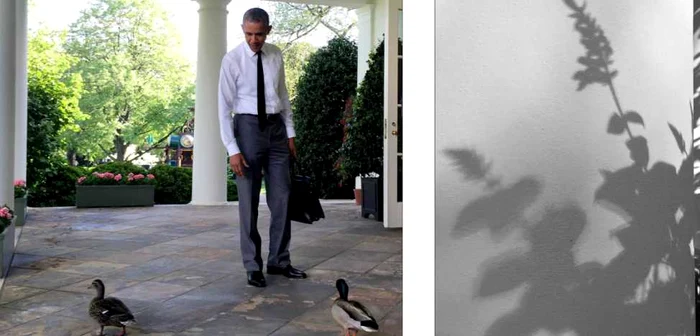 Preşedintele SUA îl are pe Pete Souza fotograf oficial.