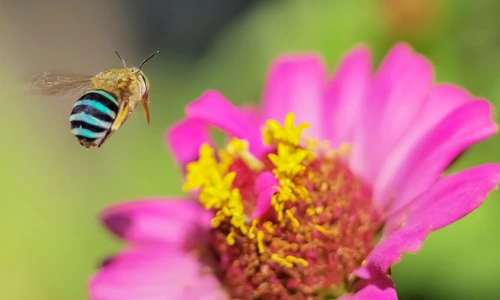 1 shutterstock 1101978626 jpg jpeg